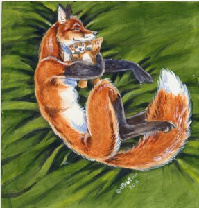 Rating: Safe Score: 0 Tags: 2011 anthro biped bird's-eye_view black_body black_fur canid canine digitigrade dipstick_tail e621 eyes_closed feet fox fur heather_bruton high-angle_view leg_markings lying male mammal markings multicolored_tail nude on_side orange_body orange_fur plushie sleeping smile socks_(marking) solo tail tail_markings white_body white_fur User: bunchy7s Rating: Safe Score: 0 Tags: 2011 anthro biped bird's-eye_view black_body black_fur canid canine digitigrade dipstick_tail e621 eyes_closed feet fox fur heather_bruton high-angle_view leg_markings lying male mammal markings multicolored_tail nude on_side orange_body orange_fur plushie sleeping smile socks_(marking) solo tail tail_markings white_body white_fur User: bunchy7s