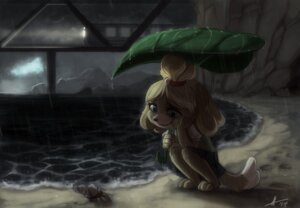 Rating: Safe Score: 0 Tags: animal_crossing anthro aquatic arthropod beach biscuit_(artist) canid canine canis crustacean decapod domestic_dog e621 female hermit_crab holding_leaf holding_object isabelle_(animal_crossing) leaf leaf_umbrella malacostracan mammal nintendo outside raining seaside shih_tzu sky solo toy_dog User: bunchy7s
