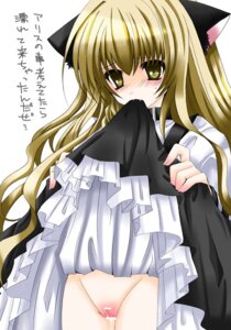 Rating: Explicit Score: 0 Tags: animal_ears blonde_hair blush cat_ears censored female long_hair marisa_kirisame mouth_hold nanase_nao no_panties rule34 skirt skirt_lift touhou translation_request yellow_eyes User: bunchy7s