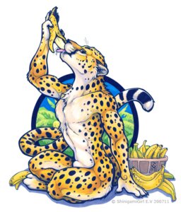 Rating: Explicit Score: 0 Tags: 2007 animal_genitalia anthro banana biped cheetah countershading e621 felid feline food food_fetish fruit fully_sheathed fur genitals male mammal markings nude pinup plant pose sheath shinigamigirl simple_background sitting solo spots spotted_body spotted_fur suggestive suggestive_food tail white_background white_body white_fur yellow_body yellow_fur User: bunchy7s