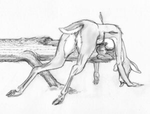 Rating: Explicit Score: 0 Tags: anthro anus arrow_(weapon) arrowed bent_over breasts cloven_hooves death deer e621 female genitals gore gore_focus graphite_(artwork) greyscale hooves horsemage log mammal monochrome nipples nude ranged_weapon snuff solo tongue tongue_out traditional_media_(artwork) vulva weapon wood User: bunchy7s Rating: Explicit Score: 0 Tags: anthro anus arrow_(weapon) arrowed bent_over breasts cloven_hooves death deer e621 female genitals gore gore_focus graphite_(artwork) greyscale hooves horsemage log mammal monochrome nipples nude ranged_weapon snuff solo tongue tongue_out traditional_media_(artwork) vulva weapon wood User: bunchy7s