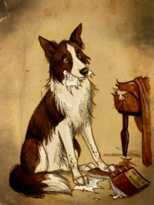 Rating: Safe Score: 0 Tags: 2011 ambiguous_gender book border_collie brown_body brown_fur canid canine canis claws collie culpeofox dipstick_tail domestic_dog e621 feral fur herding_dog mammal markings multicolored_body multicolored_fur pastoral_dog quadruped sheepdog solo tail tail_markings two_tone_body two_tone_fur white_body white_fur User: bunchy7s Rating: Safe Score: 0 Tags: 2011 ambiguous_gender book border_collie brown_body brown_fur canid canine canis claws collie culpeofox dipstick_tail domestic_dog e621 feral fur herding_dog mammal markings multicolored_body multicolored_fur pastoral_dog quadruped sheepdog solo tail tail_markings two_tone_body two_tone_fur white_body white_fur User: bunchy7s