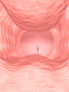 Rating: Explicit Score: 0 Tags: 3d animated censored cervix close-up female fighting_cuties inside-view male penetration penis pointless_censoring pussy rule34 sex source_request urethra vaginal_penetration wet User: bunchy7s