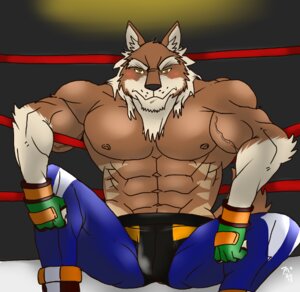 Rating: Questionable Score: 0 Tags: 2013 abs anthro biceps big_muscles biped black_nose blush bottomwear boxing brown_body brown_fur bulge canid canine canis clothed clothing e621 fighting_ring fingerless_gloves footwear fur gloves gloves_(marking) hair handwear hentist jag_knight12 looking_at_viewer male mammal markings multicolored_body multicolored_fur muscular muscular_anthro muscular_male nipples pants pecs pose shoes sitting solo sport stripes tan_body tan_fur topless travis_kristof vein white_body white_fur wolf wrestler yellow_eyes User: bunchy7s Rating: Questionable Score: 0 Tags: 2013 abs anthro biceps big_muscles biped black_nose blush bottomwear boxing brown_body brown_fur bulge canid canine canis clothed clothing e621 fighting_ring fingerless_gloves footwear fur gloves gloves_(marking) hair handwear hentist jag_knight12 looking_at_viewer male mammal markings multicolored_body multicolored_fur muscular muscular_anthro muscular_male nipples pants pecs pose shoes sitting solo sport stripes tan_body tan_fur topless travis_kristof vein white_body white_fur wolf wrestler yellow_eyes User: bunchy7s