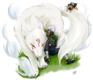 Rating: Safe Score: 0 Tags: 3_toes book bottomless bottomwear canid canine canis claws clothed clothing crossover domestic_dog e621 facial_markings feet feral forehead_protector fox front_view fully_clothed fur grass group hair head_markings holding_book holding_object human kakashi_hatake leg_wraps looking_at_viewer madara_(natsume_yuujinchou) male mammal markings mask molosser naruto natsume's_book_of_friends nude orange_eyes outside pakkun_(naruto) pants plant pug quadruped short_hair simple_background sitting size_difference small_molosser smaller_male tail takashi_natsume toes toy_dog unknown_artist white_background white_body white_fur white_hair wolf wraps User: bunchy7s
