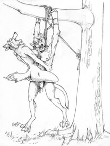 Rating: Explicit Score: 0 Tags: 2012 anthro anthro_on_anthro asphyxiation balls bdsm bodily_fluids bondage bound breasts butt canid canine claws corpus cum cum_drip death dominant dominant_female dripping duo e621 erotic_asphyxiation felid female female_penetrated genital_fluids genitals graphite_(artwork) male male/female male_death male_penetrating male_penetrating_female mammal monochrome necrophilia nipples nude open_mouth outside penetration penile penile_penetration penis penis_in_vagina plant restraints rope sex snuff tail tongue tongue_out traditional_media_(artwork) tree vaginal vaginal_penetration User: bunchy7s Rating: Explicit Score: 0 Tags: 2012 anthro anthro_on_anthro asphyxiation balls bdsm bodily_fluids bondage bound breasts butt canid canine claws corpus cum cum_drip death dominant dominant_female dripping duo e621 erotic_asphyxiation felid female female_penetrated genital_fluids genitals graphite_(artwork) male male/female male_death male_penetrating male_penetrating_female mammal monochrome necrophilia nipples nude open_mouth outside penetration penile penile_penetration penis penis_in_vagina plant restraints rope sex snuff tail tongue tongue_out traditional_media_(artwork) tree vaginal vaginal_penetration User: bunchy7s