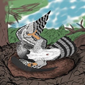 Rating: Explicit Score: 0 Tags: 1:1 accipitrid accipitriform animal_genitalia avian avian_butt beak bird cloaca e621 eagle feathered_wings feathers feral ferobird genitals harpy_eagle hi_res looking_at_viewer male pinup pose presenting presenting_cloaca ritchie_(ferobird) round_cloaca simple_background solo wings User: bunchy7s