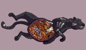Rating: Explicit Score: 0 Tags: 2013 abdominal_bulge airless belly claws copyright_symbol duo e621 felid feral fur happy internal male mammal pantherine paws raised_leg reclining relaxing soft_vore spots stripes symbol tiger translucent usiku_(nines) vore watermark User: bunchy7s