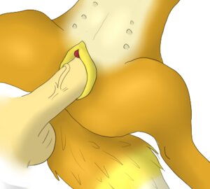 Rating: Explicit Score: 0 Tags: animal_genitalia animal_vulva bestiality canid canine canine_genitalia canine_vulva close-up crotch_shot duo e621 erection female female_on_human feral genitals human human_on_feral interspecies low_res male male/female male_on_feral mammal penis simple_background tail teats vulva white_background zoophilic User: bunchy7s