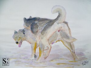 Rating: Explicit Score: 0 Tags: 2012 4:3 all_fours anal anal_penetration animal_genitalia animal_penis backsack balls canid canine canine_genitalia canine_penis canis digitigrade doggystyle duo e621 feral feral_on_feral from_behind_position genitals looking_back male male/male male_penetrated male_penetrating male_penetrating_male mammal northwestern_wolf nude open_mouth outside painting_(artwork) penetration penis quadruped sax sex standing tail tongue tongue_out traditional_media_(artwork) traditional_painting_(artwork) traditional_watercolor_(artwork) watercolor_(artwork) wolf User: bunchy7s Rating: Explicit Score: 0 Tags: 2012 4:3 all_fours anal anal_penetration animal_genitalia animal_penis backsack balls canid canine canine_genitalia canine_penis canis digitigrade doggystyle duo e621 feral feral_on_feral from_behind_position genitals looking_back male male/male male_penetrated male_penetrating male_penetrating_male mammal northwestern_wolf nude open_mouth outside painting_(artwork) penetration penis quadruped sax sex standing tail tongue tongue_out traditional_media_(artwork) traditional_painting_(artwork) traditional_watercolor_(artwork) watercolor_(artwork) wolf User: bunchy7s