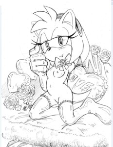 Rating: Explicit Score: 0 Tags: amy_rose anthro black_nose breasts female female_only fur furry furry_ears furry_only greyscale hedgehog kneeling monochrome open_eyes pointy_ears randomario_grantuy999 rule34 sega socks solo sonic_(series) sonic_the_hedgehog_(series) traditional_media uncensored valentine's_day User: bunchy7s