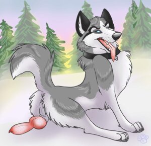 Rating: Explicit Score: 0 Tags: 2011 backsack balls balto_woof blondefoxy canid canine canis collar e621 erection feral genitals knot male mammal outside penis penis_backwards quadruped sky snow solo tail winter wolf User: bunchy7s Rating: Explicit Score: 0 Tags: 2011 backsack balls balto_woof blondefoxy canid canine canis collar e621 erection feral genitals knot male mammal outside penis penis_backwards quadruped sky snow solo tail winter wolf User: bunchy7s