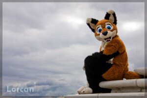 Rating: Safe Score: 0 Tags: 8d ambiguous_gender anthro blue_eyes canid canine clothing costume e621 fox fursuit grandfathered_content looking_at_viewer lorcan mammal outside photography_(artwork) real scenery sky solo tail unknown_artist wallpaper User: bunchy7s