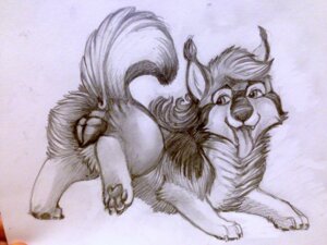 Rating: Explicit Score: 0 Tags: 2014 4:3 anatomically_correct anatomically_correct_genitalia anatomically_correct_vulva animal_genitalia animal_vulva anus canid canine canine_genitalia canine_vulva coonpoof e621 female feral genitals looking_back mammal sketch solo tongue tongue_out vulva User: bunchy7s
