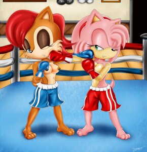 Rating: Questionable Score: 0 Tags: 2013 amy_rose anthro archie_comics bigdon1992 blue_eyes blush boxing breasts brown_body brown_fur brown_nipples chipmunk clothed clothing duo e621 eulipotyphlan female fight flower fur gloves ground_squirrel hair handwear hedgehog hi_res mammal navel nipples one_eye_closed pink_body pink_fur pink_hair plant ravensfan00 red_hair rodent rose_(flower) sally_acorn sciurid sega sonic_the_hedgehog_(archie) sonic_the_hedgehog_(comics) sonic_the_hedgehog_(series) sport standing topless User: bunchy7s