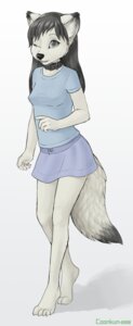 Rating: Safe Score: 0 Tags: 2008 adolescent anthro biped black_hair black_nose blue_clothing blue_shirt blue_topwear bottomwear breasts button_skirt canid canine claws clothed clothing collar coonkun e621 eye_scar facial_scar female fluffy fluffy_tail fox fur grey_eyes hair long_hair looking_at_viewer mammal one_eye_closed scar shirt simple_background skirt smile solo standing tail topwear vixenchan walking white_background white_body white_fur young young_anthro young_female User: bunchy7s