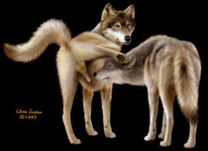 Rating: Explicit Score: 0 Tags: 2003 amber_eyes ambiguous_gender anatomically_correct anatomically_correct_genitalia anatomically_correct_penis animal_genitalia animal_penis anus balls black_background black_nose black_pawpads blue_eyes brown_body brown_fur canid canine canine_genitalia canine_penis countershade_face countershading crotch_sniffing cyber_(ebon_lupus) duo e621 ebon_lupus erection feral feral_on_feral fluffy fluffy_tail fur genitals grey_body grey_fur intraspecies knot knot_in_sheath male mammal multicolored_body multicolored_fur multicolored_tail pawpads paws penis penis_sniffing penis_tip photorealism pink_anus raised_leg raised_tail realistic shadow_(ebon_lupus) sheath simple_background sniffing tail tail_anus teal_eyes yellow_eyes User: bunchy7s Rating: Explicit Score: 0 Tags: 2003 amber_eyes ambiguous_gender anatomically_correct anatomically_correct_genitalia anatomically_correct_penis animal_genitalia animal_penis anus balls black_background black_nose black_pawpads blue_eyes brown_body brown_fur canid canine canine_genitalia canine_penis countershade_face countershading crotch_sniffing cyber_(ebon_lupus) duo e621 ebon_lupus erection feral feral_on_feral fluffy fluffy_tail fur genitals grey_body grey_fur intraspecies knot knot_in_sheath male mammal multicolored_body multicolored_fur multicolored_tail pawpads paws penis penis_sniffing penis_tip photorealism pink_anus raised_leg raised_tail realistic shadow_(ebon_lupus) sheath simple_background sniffing tail tail_anus teal_eyes yellow_eyes User: bunchy7s