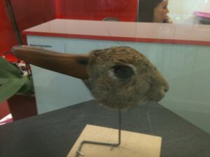 Rating: Safe Score: 0 Tags: 4:3 ambiguous_gender anatid anseriform avian bird duck duo e621 electronics female feral grandfathered_content holding_object holding_phone human hybrid lagomorph landline_phone leporid mammal optical_illusion phone photography_(artwork) rabbit real taxidermy unknown_artist what what_has_science_done User: bunchy7s Rating: Safe Score: 0 Tags: 4:3 ambiguous_gender anatid anseriform avian bird duck duo e621 electronics female feral grandfathered_content holding_object holding_phone human hybrid lagomorph landline_phone leporid mammal optical_illusion phone photography_(artwork) rabbit real taxidermy unknown_artist what what_has_science_done User: bunchy7s