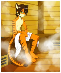 Rating: Safe Score: 0 Tags: barefoot bodily_fluids border brown_hair clothed clothing e621 feet felid green_eyes hair inside male mammal oouyuki_benten pantherine saba sauna solo steam stripes sweat tail tiger topless towel white_border User: bunchy7s