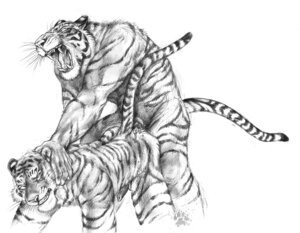Rating: Explicit Score: 0 Tags: 2010 anal anal_penetration angry animal_genitalia animal_penis anthro blotch bodily_fluids clenched_teeth cum duo e621 erection fangs felid feline_genitalia feline_penis genital_fluids genitals greyscale intraspecies male male/male male_penetrated male_penetrating male_penetrating_male mammal monochrome nude orgasm pantherine penetration penile_spines penis roaring scratches_volume_4 sex simple_background sketch stripes tail teeth tiger traditional_media_(artwork) whiskers white_background User: bunchy7s
