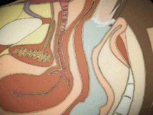 Rating: Explicit Score: 0 Tags: 1boy 1girls 2d 2d_animation anal anal_addiction anal_insertion anal_penetration anatomy animated ass barefoot bent_over blonde_hair breasts closed_eyes clothing colon cross_section cum cum_in_ass cum_inside dark_skin ejaculation erect_nipples erection feet female female_penetrated femsub folded foxy_nudes full_color ganguro helpless huge_breasts internal_cumshot internal_view lowres male maledom missionary nipples open_clothes open_shirt penetration penis piledriver_position plaid_skirt rape rectum red_skirt reproductive_anatomy rule34 school_uniform sex shirt skirt skirt_lift spine spread_legs straight tan tanned uncensored uterus wakabayashi_mayumi white_shirt x-ray User: bunchy7s Rating: Explicit Score: 0 Tags: 1boy 1girls 2d 2d_animation anal anal_addiction anal_insertion anal_penetration anatomy animated ass barefoot bent_over blonde_hair breasts closed_eyes clothing colon cross_section cum cum_in_ass cum_inside dark_skin ejaculation erect_nipples erection feet female female_penetrated femsub folded foxy_nudes full_color ganguro helpless huge_breasts internal_cumshot internal_view lowres male maledom missionary nipples open_clothes open_shirt penetration penis piledriver_position plaid_skirt rape rectum red_skirt reproductive_anatomy rule34 school_uniform sex shirt skirt skirt_lift spine spread_legs straight tan tanned uncensored uterus wakabayashi_mayumi white_shirt x-ray User: bunchy7s