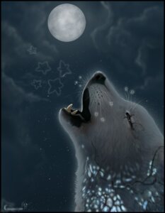 Rating: Safe Score: 0 Tags: ambiguous_gender canid canine canis chasington cloud e621 feral howl mammal moon night open_mouth outside sky skyscape solo teeth wolf User: bunchy7s Rating: Safe Score: 0 Tags: ambiguous_gender canid canine canis chasington cloud e621 feral howl mammal moon night open_mouth outside sky skyscape solo teeth wolf User: bunchy7s