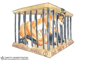 Rating: Safe Score: 0 Tags: all_fours angyl_roper anthro barefoot bars belly biped black_hair black_nose cage canid canine e621 english_text feet fluffy fluffy_tail fox fur gloves_(marking) hair leg_markings looking_at_viewer male mammal markings nude orange_body orange_eyes orange_fur paws prisoner simple_background socks_(marking) solo source_request tail text white_background white_belly white_body white_fur yellow_sclera User: bunchy7s Rating: Safe Score: 0 Tags: all_fours angyl_roper anthro barefoot bars belly biped black_hair black_nose cage canid canine e621 english_text feet fluffy fluffy_tail fox fur gloves_(marking) hair leg_markings looking_at_viewer male mammal markings nude orange_body orange_eyes orange_fur paws prisoner simple_background socks_(marking) solo source_request tail text white_background white_belly white_body white_fur yellow_sclera User: bunchy7s