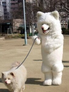 Rating: Safe Score: 0 Tags: akita ambiguous_gender anthro canid canine canis clothing collar costume domestic_dog domestic_pet duo e621 feral furries_with_pets fursuit grandfathered_content grass leash mammal outside park plant real recursion spitz tree unknown_artist User: bunchy7s