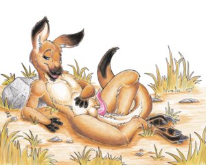 Rating: Explicit Score: 0 Tags: 2011 5:4 anatomically_correct anatomically_correct_genitalia animal_genitalia animal_penis anthro balls balls_above_penis biped cloaca cloacal_penis e621 erection feet flinters fur genitals kangaroo lying macropod male mammal marsupial marsupial_penis nude on_back outside penis prehensile_penis red_kangaroo seductive sky solo tail tapering_penis User: bunchy7s Rating: Explicit Score: 0 Tags: 2011 5:4 anatomically_correct anatomically_correct_genitalia animal_genitalia animal_penis anthro balls balls_above_penis biped cloaca cloacal_penis e621 erection feet flinters fur genitals kangaroo lying macropod male mammal marsupial marsupial_penis nude on_back outside penis prehensile_penis red_kangaroo seductive sky solo tail tapering_penis User: bunchy7s