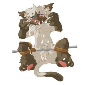 Rating: Explicit Score: 0 Tags: bdsm blue_eyes blush bodily_fluids bondage bound cum cum_on_face cum_on_own_face cum_on_own_tongue cum_on_self cum_on_tongue cumshot domestic_cat e621 ejaculation erection fangs feet felid feline felis foreskin genital_fluids genitals hindpaw humanoid_genitalia humanoid_penis kosian male mammal messy orgasm partially_retracted_foreskin pawpads paws penis restraints solo spread_legs spreader_bar spreading submissive submissive_male tail tears teeth tongue User: bunchy7s