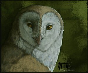 Rating: Safe Score: 0 Tags: ambiguous_gender avian barn_owl beak bird bust_portrait e621 feral hi_res owl portrait solo tatiilange text tyto tytonid url User: bunchy7s Rating: Safe Score: 0 Tags: ambiguous_gender avian barn_owl beak bird bust_portrait e621 feral hi_res owl portrait solo tatiilange text tyto tytonid url User: bunchy7s