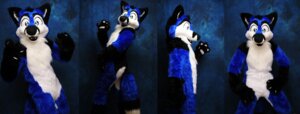 Rating: Safe Score: 0 Tags: anthro blue_body blue_eyes blue_fur canid canine clothing costume e621 fox frostee fur fursuit gesture grandfathered_content looking_at_viewer male mammal photography_(artwork) pose real solo sophiecabra waving User: bunchy7s