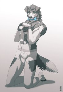 Rating: Questionable Score: 0 Tags: 2014 anthro bdsm begging biped black_body black_fur bondage bone_gag border_collie bound boxer_briefs bulge canid canine canis clothing collie digital_media_(artwork) domestic_dog e621 ear_piercing fur gag gagged gradient_background grey_background grey_theme harness herding_dog kannos kneeling looking_at_viewer male mammal multicolored_body multicolored_fur pastoral_dog petplay piercing puppyplay roleplay sheepdog simple_background solo submissive submissive_male tracey_(traceypup) two_tone_body two_tone_fur underwear watermark white_background white_body white_fur User: bunchy7s