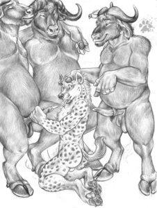 Rating: Explicit Score: 0 Tags: 2008 animal_genitalia anthro anthro_on_anthro balls blotch bodily_fluids bovid bovine cape_buffalo cattle claws cloven_hooves cum cum_in_mouth cum_inside dominant dominant_male e621 erection foursome gangbang genital_fluids genitals group group_sex handjob hi_res hooves horn hyena kneeling_oral_position looking_back male male/male male_penetrated male_penetrating male_penetrating_male mammal monochrome oral pawpads paws penetration penile penis scratches_volume_2 sex slightly_chubby spots spotted_hyena tail toe_claws tongue traditional_media_(artwork) User: bunchy7s
