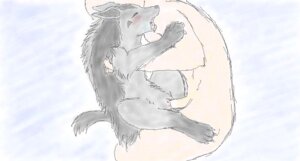 Rating: Explicit Score: 0 Tags: color female feral fur human insertion interspecies male mightyena nintendo nude penis pokemon pokephilia pussy rule34 sex side_view straight tagme vulva User: bunchy7s Rating: Explicit Score: 0 Tags: color female feral fur human insertion interspecies male mightyena nintendo nude penis pokemon pokephilia pussy rule34 sex side_view straight tagme vulva User: bunchy7s
