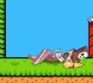 Rating: Explicit Score: 0 Tags: animated female interspecies mario_(series) nintendo princess_peach rule34 shy_guy stevie_1derp super_mario_bros._2 User: bunchy7s