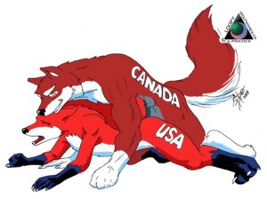 Rating: Explicit Score: 0 Tags: all_fours ambiguous_gender anal anal_penetration anthro biceps black_body black_fur black_nose canada canid canine claws compression_artifacts doggystyle duo e621 eyes_closed fox from_behind_position fur genitals grin leg_markings lol_comments loopywolf male mammal markings muscular nude open_mouth orange_body orange_fur penetration penis politics raised_tail red_body red_eyes red_fur sex simple_background smile socks_(marking) tail tattoo teeth toe_claws united_states_of_america white_background white_body white_fur User: bunchy7s