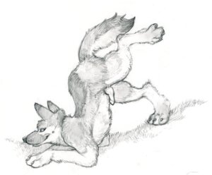 Rating: Explicit Score: 0 Tags: 2007 animal_genitalia animal_penis ass_up canid canine canine_genitalia canine_penis canis domestic_dog e621 erection feral genitals greyscale knot male mammal monochrome penis quadruped simple_background sketch skulldog_(artist) solo tail white_background User: bunchy7s Rating: Explicit Score: 0 Tags: 2007 animal_genitalia animal_penis ass_up canid canine canine_genitalia canine_penis canis domestic_dog e621 erection feral genitals greyscale knot male mammal monochrome penis quadruped simple_background sketch skulldog_(artist) solo tail white_background User: bunchy7s