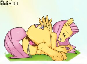 Rating: Explicit Score: 0 Tags: animal_genitalia animal_vulva antelon anus blush butt e621 equid equine equine_genitalia equine_vulva eyes_closed feathered_wings feathers female feral fluttershy_(mlp) friendship_is_magic genitals hasbro lying mammal masturbation my_little_pony mythological_creature mythological_equine mythology nude on_side open_mouth pegasus penetration quadruped sex_toy simple_background solo tail toying_self vaginal vaginal_masturbation vibrator vulva white_background wings yellow_body yellow_feathers User: bunchy7s