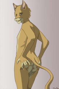 Rating: Explicit Score: 0 Tags: 1boy anus dirtmouth feline furry looking_at_viewer male male_only rule34 solo spreading User: bunchy7s