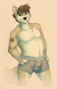 Rating: Questionable Score: 0 Tags: anthro boxer_briefs bulge canid canine canis clothed clothing conditional_dnp dingo e621 garnetto grey_clothing grey_underwear hi_res looking_at_viewer male mammal slightly_chubby solo tail topless underwear User: bunchy7s