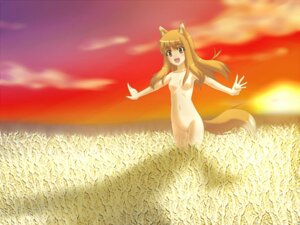 Rating: Explicit Score: 0 Tags: 1girls blush brown_hair completely_nude female field flat_chest holo long_hair nude nude_female nudist outdoors outside outstretched_arms red_eyes rule34 s-no spice_and_wolf spread_arms sunset tail wheat wolf_ears User: bunchy7s