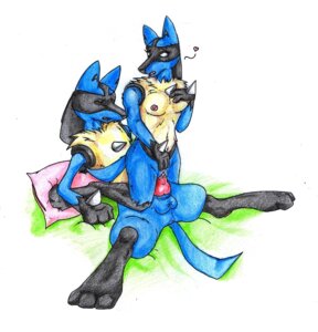 Rating: Explicit Score: 0 Tags: animal_genitalia animal_penis anthro anus balls black_body black_fur blue_body blue_fur bodily_fluids breasts canid canine canine_genitalia canine_penis cum danwolf15 duo e621 erection female female_penetrated fur generation_4_pokemon genital_fluids genitals heart_symbol intraspecies knot lucario male male/female male_penetrating male_penetrating_female mammal nintendo nude penetration penile penile_penetration penis penis_in_vagina pillow pokemon pokemon_(species) sex tail vaginal vaginal_penetration vulva yellow_body yellow_fur User: bunchy7s