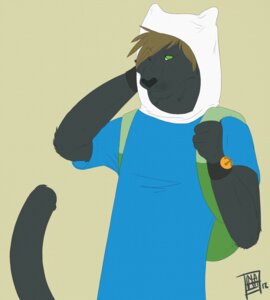 Rating: Safe Score: 0 Tags: adventure_time anthro brown_hair cartoon_network e621 felid finn_the_human green_eyes hair hi_res male mammal pantherine solo tail themutt User: bunchy7s