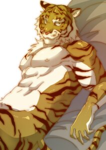 Rating: Safe Score: 0 Tags: abs anthro bed biceps black_body black_fur claws e621 felid fur furniture looking_at_viewer male mammal muscular muscular_anthro muscular_male nipples nude on_bed orange_body orange_fur pantherine pecs reclining smile solo stripes tail tiger white_body white_fur yamake User: bunchy7s