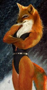 Rating: Safe Score: 0 Tags: anthro biceps canid canine clothing e621 female fox iisaw mammal muscular muscular_anthro muscular_female one-piece_swimsuit photo_manipulation shopped solo swimwear tail third-party_edit User: bunchy7s Rating: Safe Score: 0 Tags: anthro biceps canid canine clothing e621 female fox iisaw mammal muscular muscular_anthro muscular_female one-piece_swimsuit photo_manipulation shopped solo swimwear tail third-party_edit User: bunchy7s