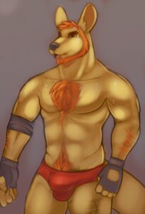 Rating: Questionable Score: 0 Tags: anthro armband beard bodily_fluids body_hair bulge chest_tuft clothed clothing e621 facial_hair fur gloves hair hairy handwear happy_trail horrorbuns kangaroo macropod male mammal marsupial red_hair simple_background skimpy solo speedo sweat swimwear topless tuft underwear User: bunchy7s