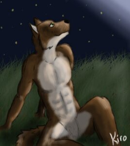 Rating: Safe Score: 0 Tags: abs anthro biped canid canine canis e621 grass green_eyes kirodark male mammal night outside plant sitting sky solo star starry_sky tail wolf User: bunchy7s