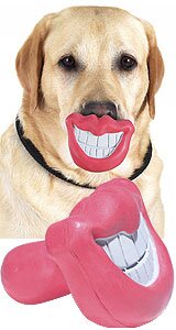 Rating: Safe Score: 0 Tags: ambiguous_gender canid canine canis collar domestic_dog e621 feral fur grandfathered_content lips low_res mammal nightmare_fuel photo photography_(artwork) real smile solo unknown_artist what User: bunchy7s Rating: Safe Score: 0 Tags: ambiguous_gender canid canine canis collar domestic_dog e621 feral fur grandfathered_content lips low_res mammal nightmare_fuel photo photography_(artwork) real smile solo unknown_artist what User: bunchy7s