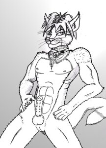 Rating: Explicit Score: 0 Tags: anthro balls domestic_cat e621 erection felid feline felis genitals male mammal nude penis presenting solo tail vandy User: bunchy7s